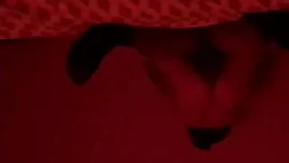 Virgins first time with escort